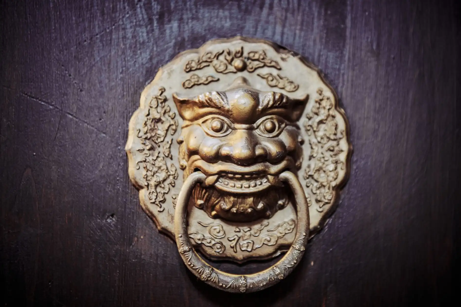 长三角运动人群护踝选购指南与适配方案