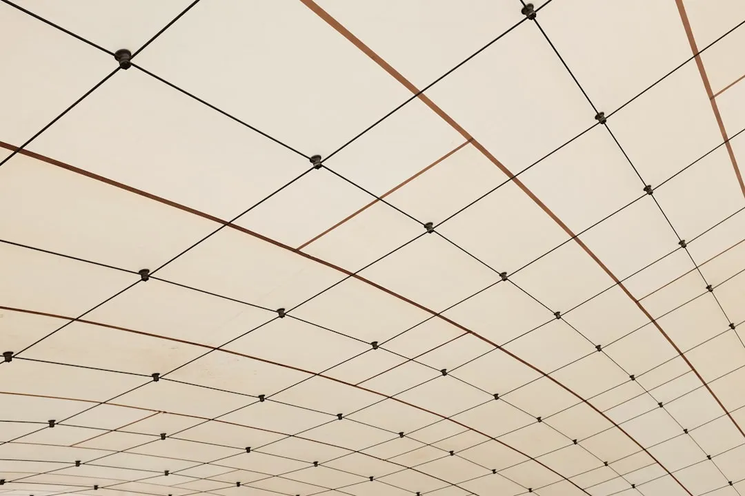 运动绷带在关节防护中的应用原理与选型指南